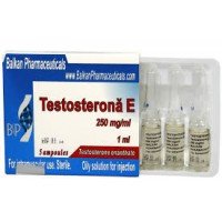 Testosterona E (Unit: 5 x 1 mL amp)