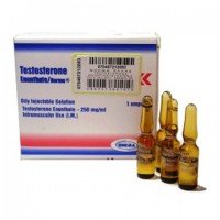 1 AMP TESTOSTERONE ENANTATE 250